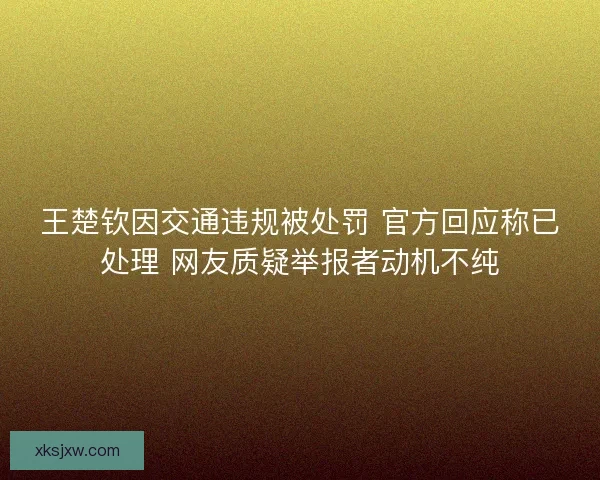 王楚钦因交通违规被处罚 官方回应称已处理 网友质疑举报者动机不纯 王楚钦因交通违规被处罚 官方回应称已处理 网友质疑举报者动机不纯