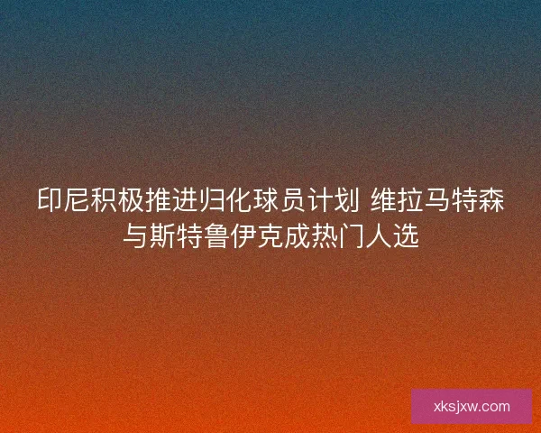 印尼积极推进归化球员计划 维拉马特森与斯特鲁伊克成热门人选