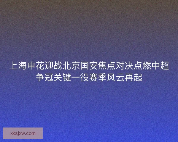 上海申花迎战北京国安焦点对决点燃中超争冠关键一役赛季风云再起